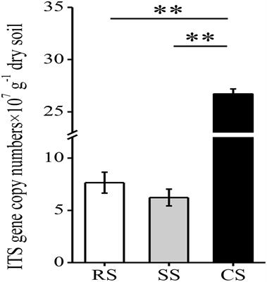 Response of Soil Fungal Community Structure to Long-Term Continuous Soybean Cropping